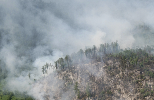 <br />
В МЧС рассказали об экологических последствиях лесных пожаров в Сибири<br />
