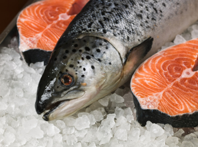 Транспортировка норвежского лосося по железной дороге в Китай обойдется на 80% дешевле воздушных отправок