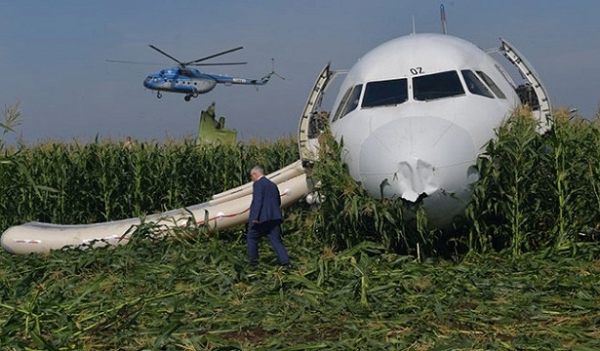 <br />
Кукуруза и чайки: каким может быть фильм о посадке A321 под Жуковским<br />
