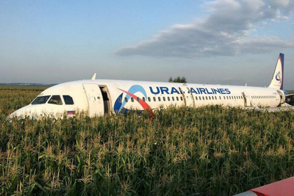 Восстановлена хронология посадки Airbus в кукурузном поле