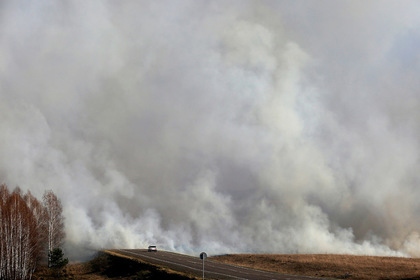 Экологи уличили чиновников в занижении данных о пожарах в Сибири